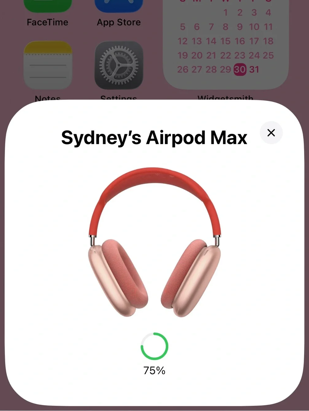 Apple AirPod Max